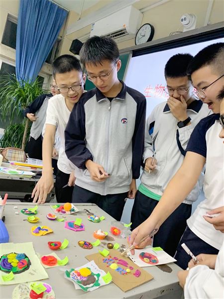 探寻神秘的微观世界——郭伟名师工作坊开展生物模型建构大赛