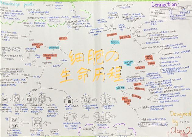 探寻神秘的微观世界——郭伟名师工作坊开展生物模型建构大赛
