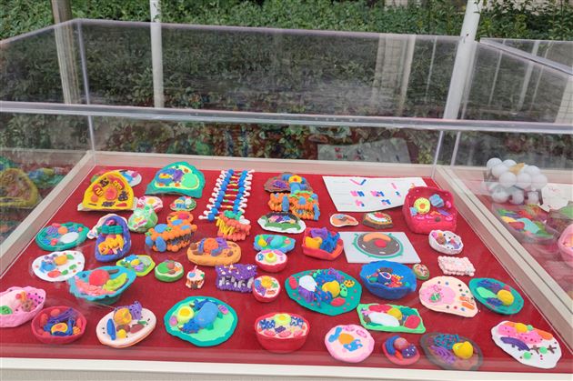 探寻神秘的微观世界——郭伟名师工作坊开展生物模型建构大赛