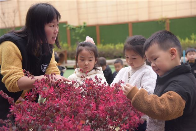 我为地球添点绿