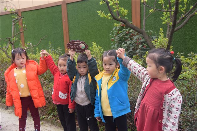 我为地球添点绿