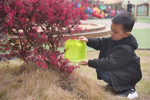 我为地球添点绿