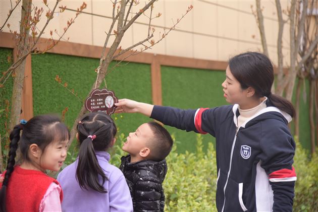 我为地球添点绿