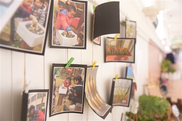 我为地球添点绿