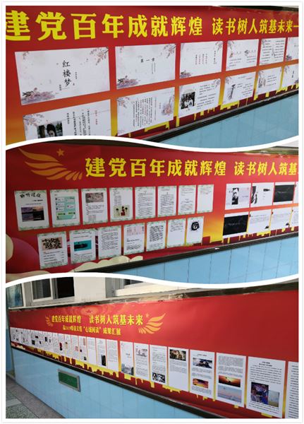 建党百年成就辉煌 读书树人筑基未来——记棠外高2019级语文组“心域阅读”活动