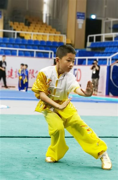 棠外附小参加2021年四川省学生武术套路公开赛斩获佳绩