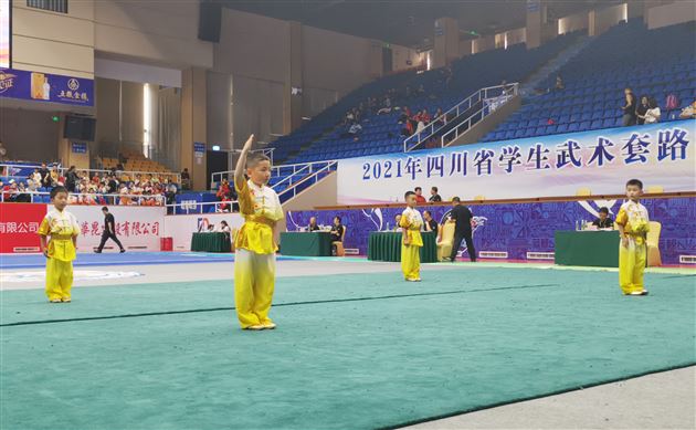 棠外附小参加2021年四川省学生武术套路公开赛斩获佳绩