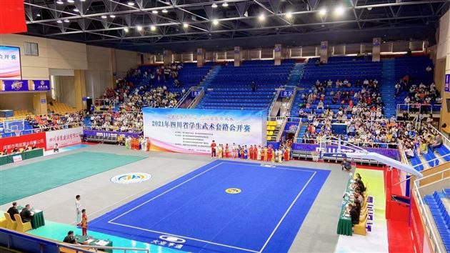 棠外附小参加2021年四川省学生武术套路公开赛斩获佳绩