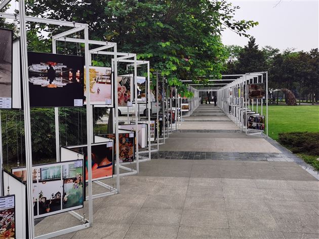 棠外多名同学参加双流区第十三届中小学生艺术节比赛获佳绩