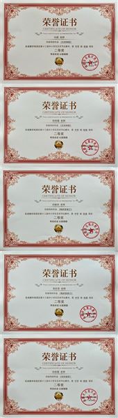 美术：二等奖指导教师证书