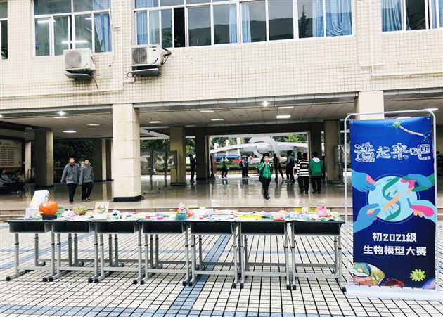 “造起来吧！”——初2021级成功举办生物手工模型展 