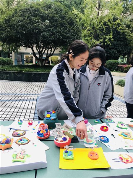 “造起来吧！”——初2021级成功举办生物手工模型展
