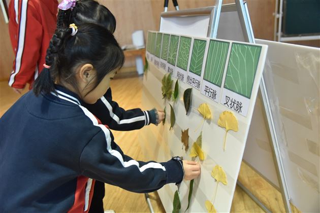 棠外实验幼儿园承办双流区科学联组第三次教研活动