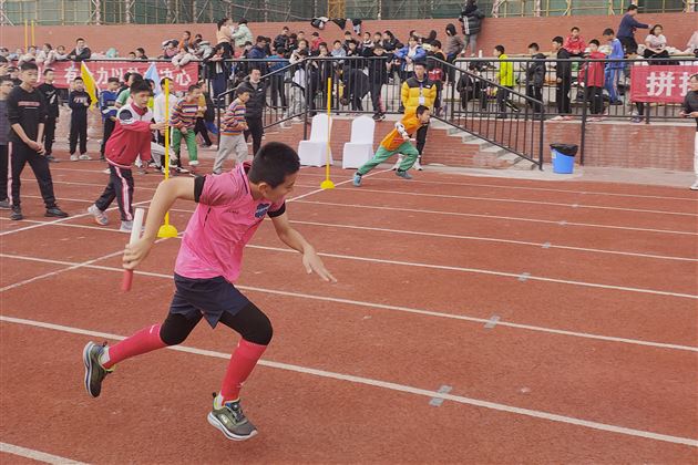 棠外附小在双流区第十六届学校体育集体项目运动会中获三项一等奖