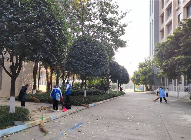 少年，在劳动中收获——记棠外初2021级19班校内社会实践 