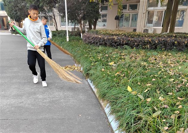 少年，在劳动中收获——记棠外初2021级19班校内社会实践 