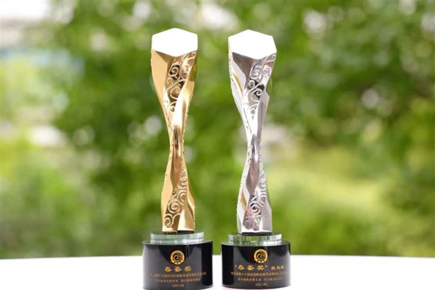 棠外斩获四川省校园影视最高奖“春蚕奖”