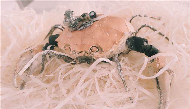 “创”造艺术 “意’起制作——棠外附小2021年校园艺术节系列活动之创意设计制作大赛