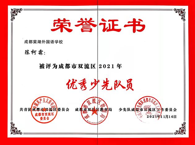 棠外初中获得多项共青团、少先队荣誉 