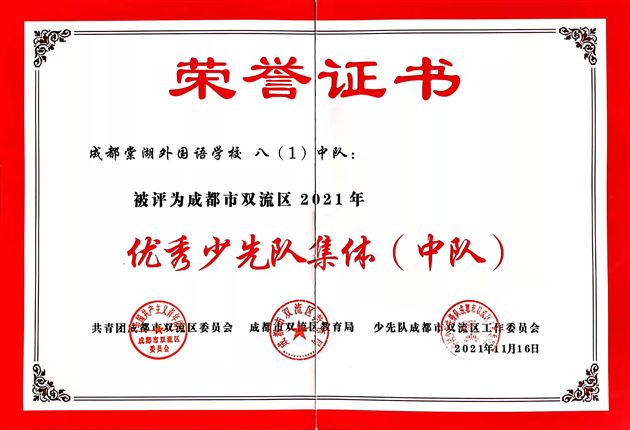 棠外初中获得多项共青团、少先队荣誉