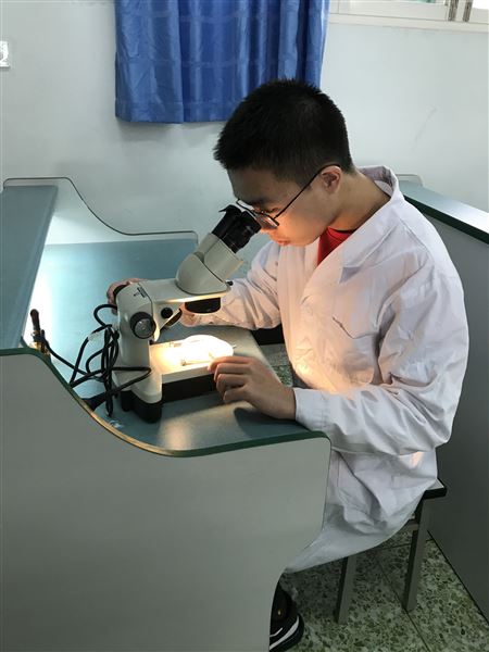 肖胜蓝同学观察涡虫的再生