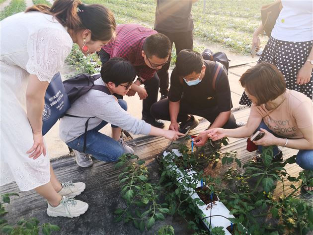 技术人员为我们讲解滴灌技术