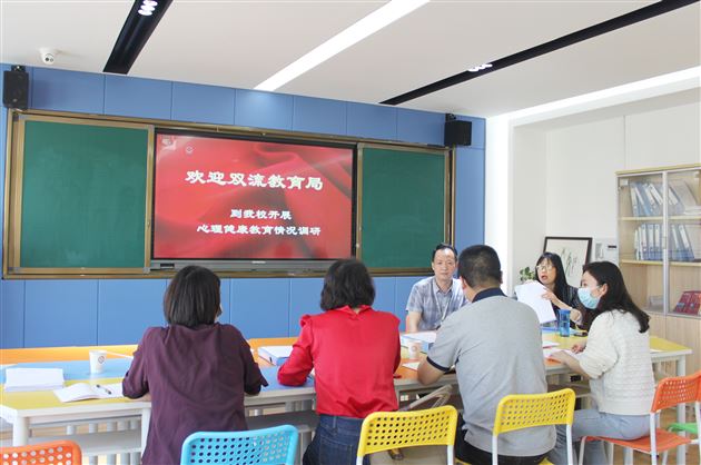 双流区教育局专家到我校开展心育调研