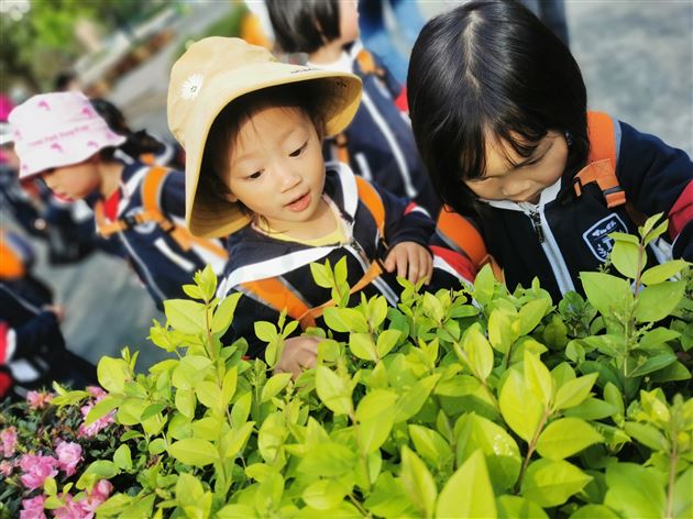 我和春天有个约会之棠宝“趣”春游