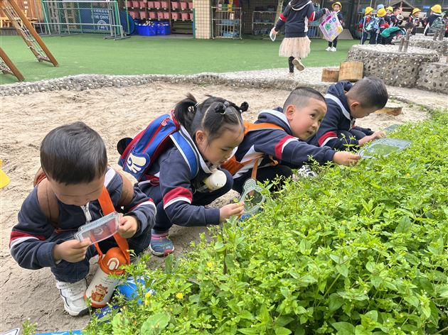 我和春天有个约会之棠宝“趣”春游