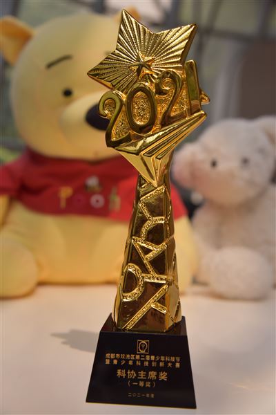 棠外实验幼儿园在双流区第二届青少年科技创新大赛中获奖