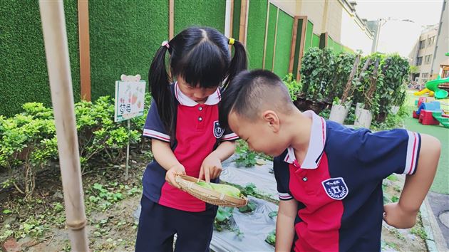棠外实验幼儿园开展蔬菜义卖活动
