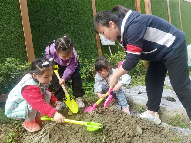 棠外实验幼儿园开展蔬菜义卖活动 