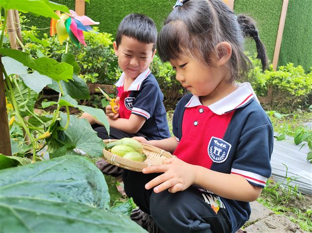 棠外实验幼儿园开展蔬菜义卖活动