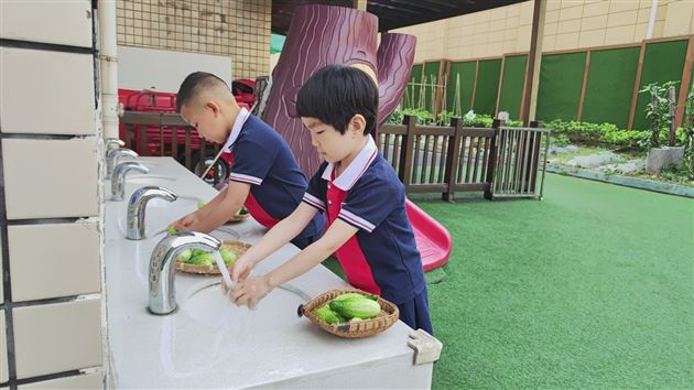 棠外实验幼儿园开展蔬菜义卖活动 