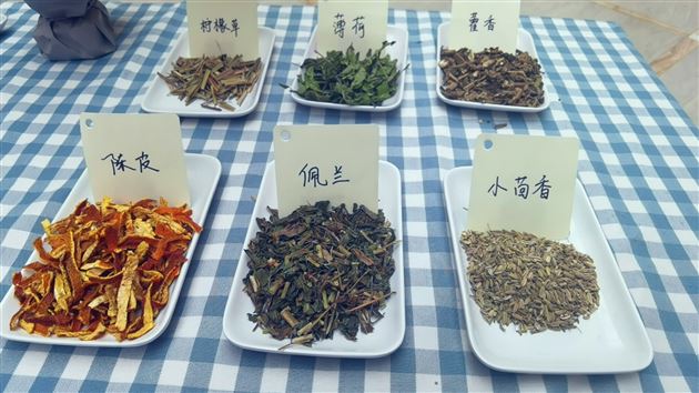 棠外实验幼儿园开展“六一&端午周”活动