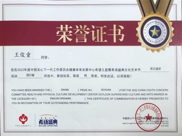 王俊童获奖证书