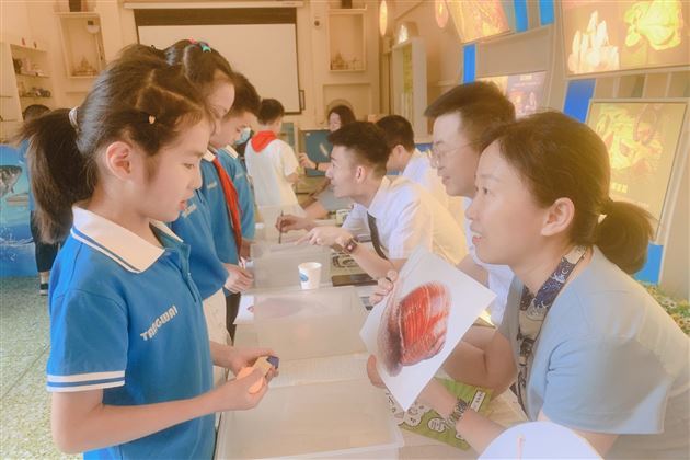 趣味闯关 快乐起航——棠外附小举行一、二年级学生智勇大闯关活动