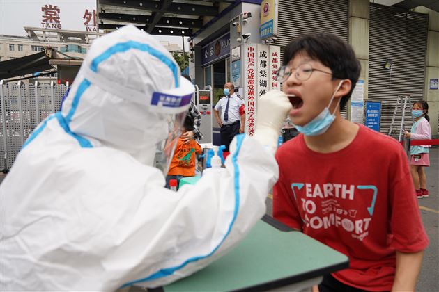 同心合力战疫情，共克时艰显担当——棠外党员教师积极参加抗疫保教志愿服务活动