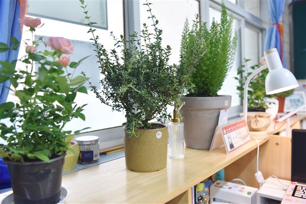 向美而行，优化育人环境——棠外高中开展“文明办公室”评比活动 