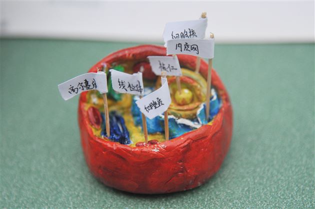 棠外初2022级开展“玩转细胞”模型制作大赛