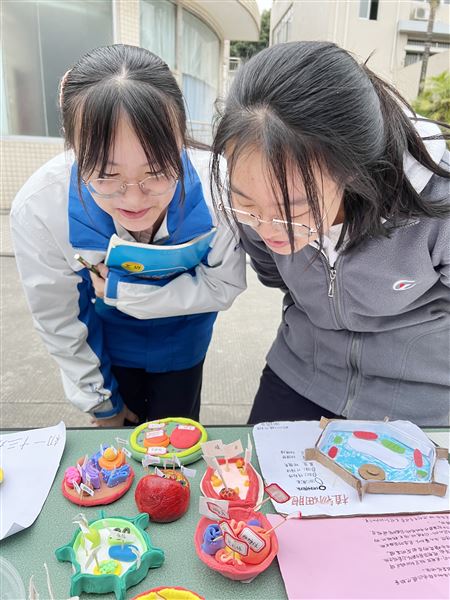 棠外初2022级开展“玩转细胞”模型制作大赛