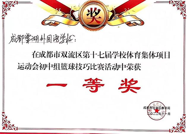 篮球技巧获奖证书