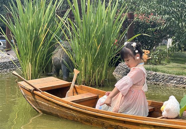 快看，棠宝微电影获奖啦