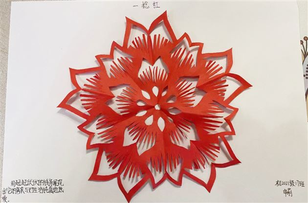 瑞兔迎春 数你精彩——棠外初二数学寒假实践作业展风采