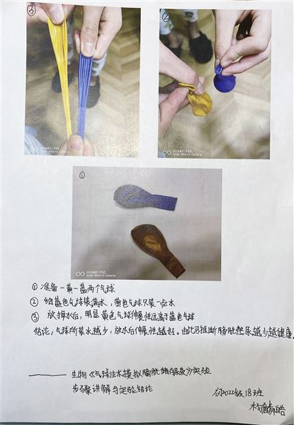 实验，解剖，办报——不一样的生物寒假作业