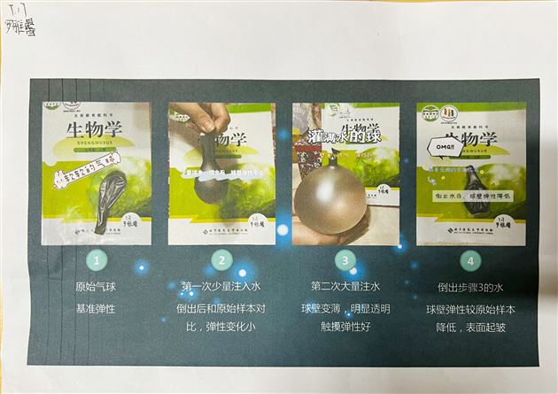 实验，解剖，办报——不一样的生物寒假作业 