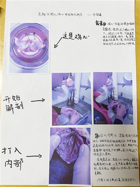实验，解剖，办报——不一样的生物寒假作业