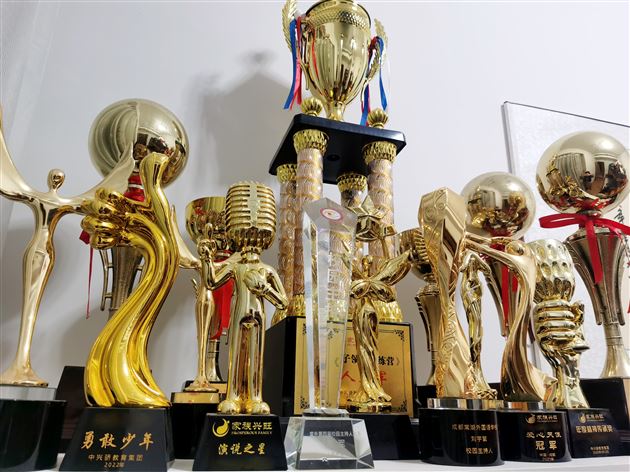 刘宇繁部分奖杯