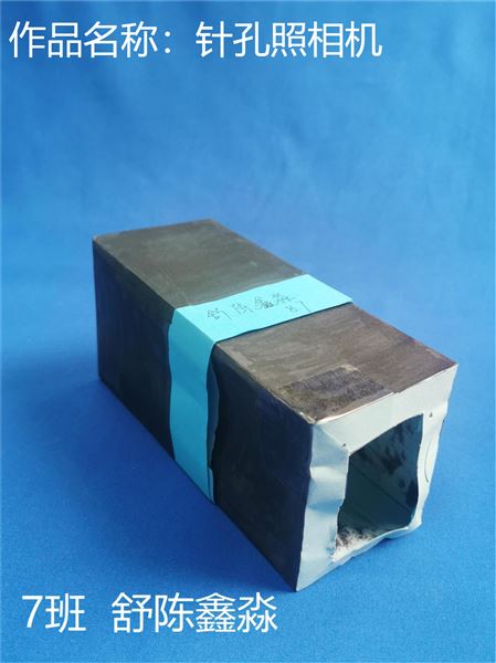 动手动脑，快乐“悟”理——初二物理寒假实践作业展评