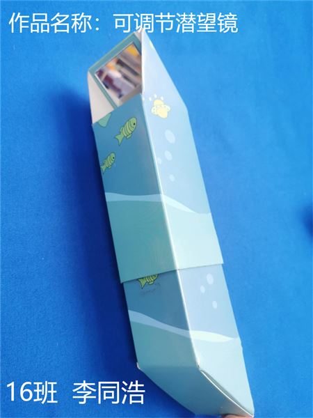 动手动脑，快乐“悟”理——初二物理寒假实践作业展评